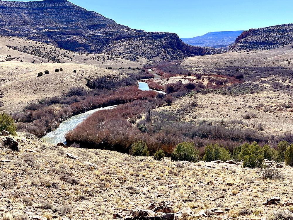 Photo of the Dolores river as it leaves the Dolores River Canyon and enters Big Gypsum Valley