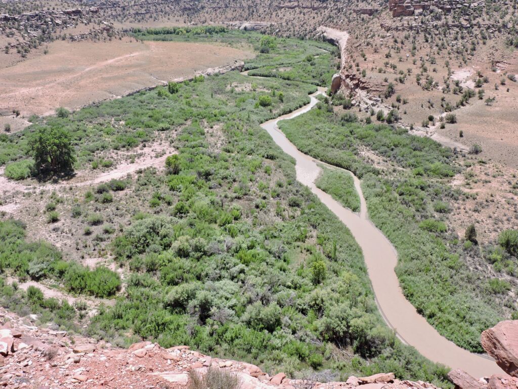 Aerial view of a winding river meandering through a rocky desert landscape dotted with sparse vegetation.