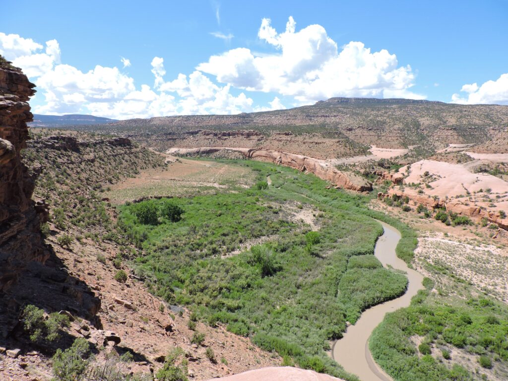 A winding river meanders through a lush green valley surrounded by rugged desert terrain under a bright blue sky with scattered clouds.