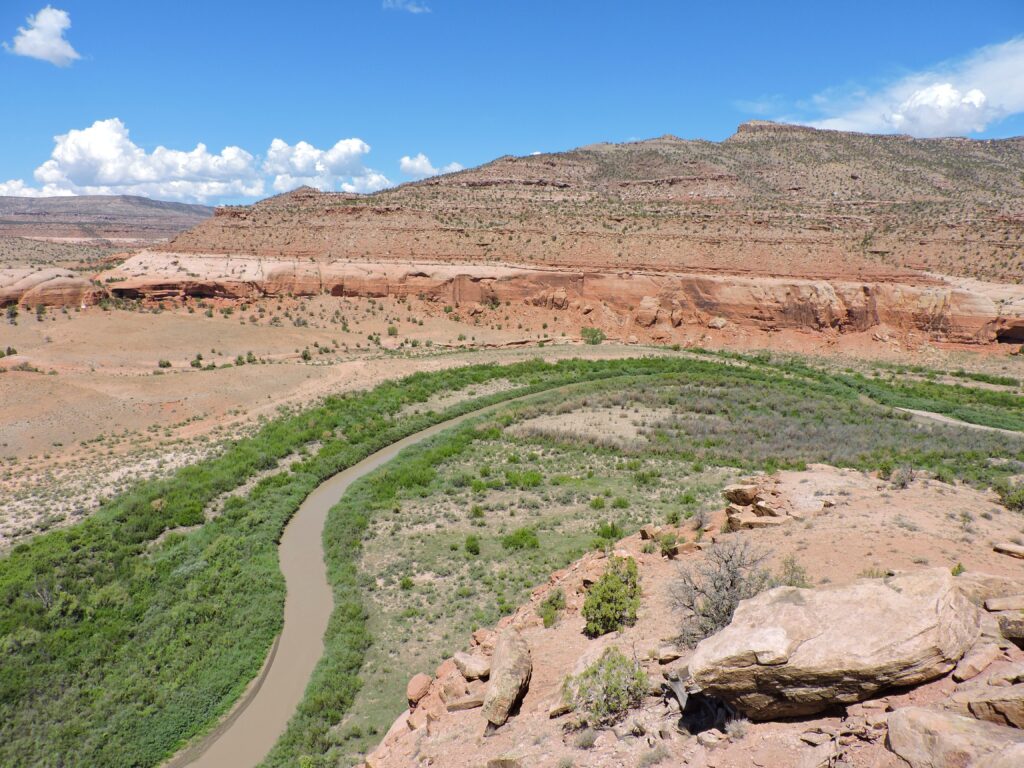 Curved river flowing through a desert canyon with green shrubs under a clear blue sky, surrounded by rocky red cliffs.