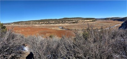  A panoramic view of a vast, mostly flat landscape with dry bushes in the foreground under a clear blue sky.