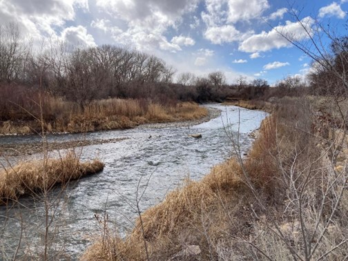 A winding river surrounded by leafless trees and dry grass under a partly cloudy sky.