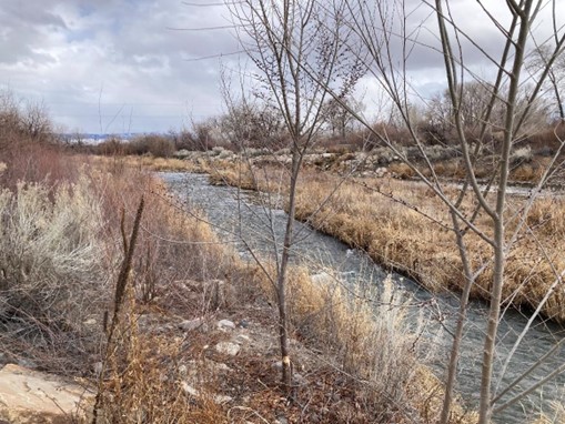 A narrow river flows through a landscape of dry grasses and leafless trees under a cloudy sky.