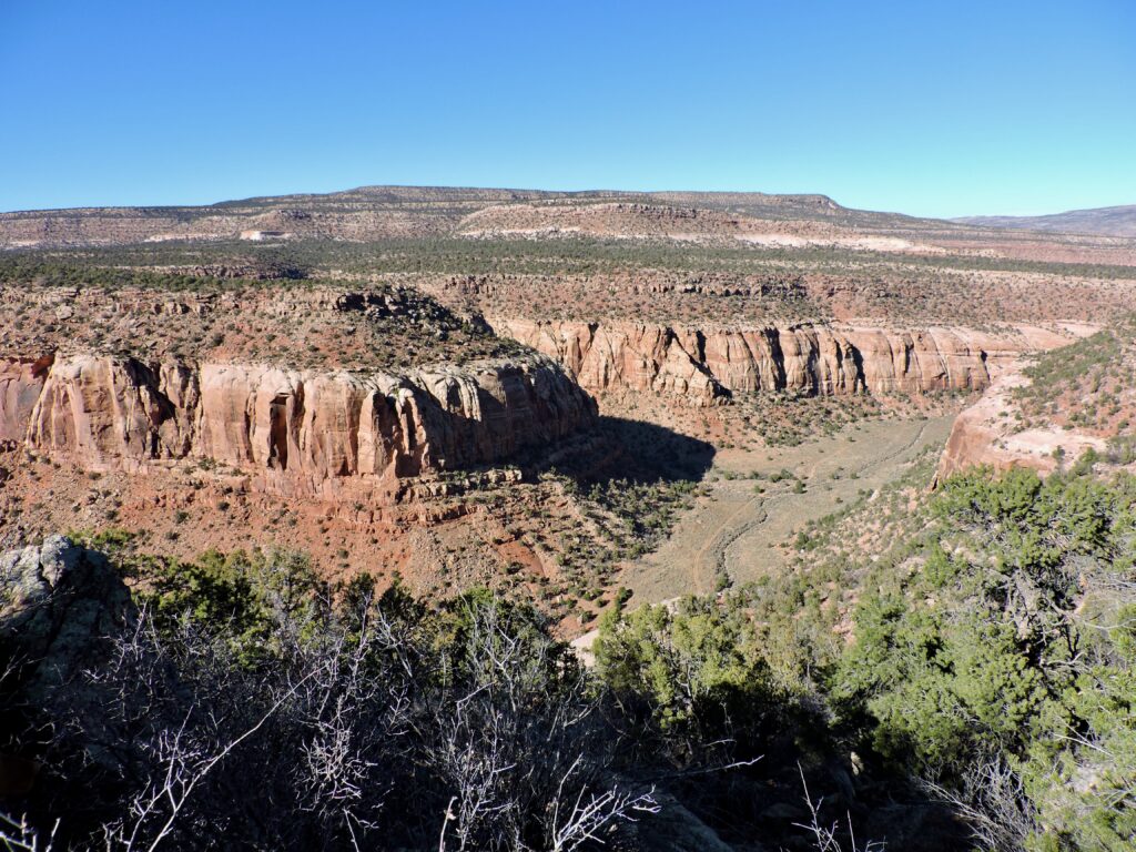 An expansive view of a rugged canyon under a clear blue sky, featuring steep red cliffs and a sparse scattering of green shrubs on the valley floor.